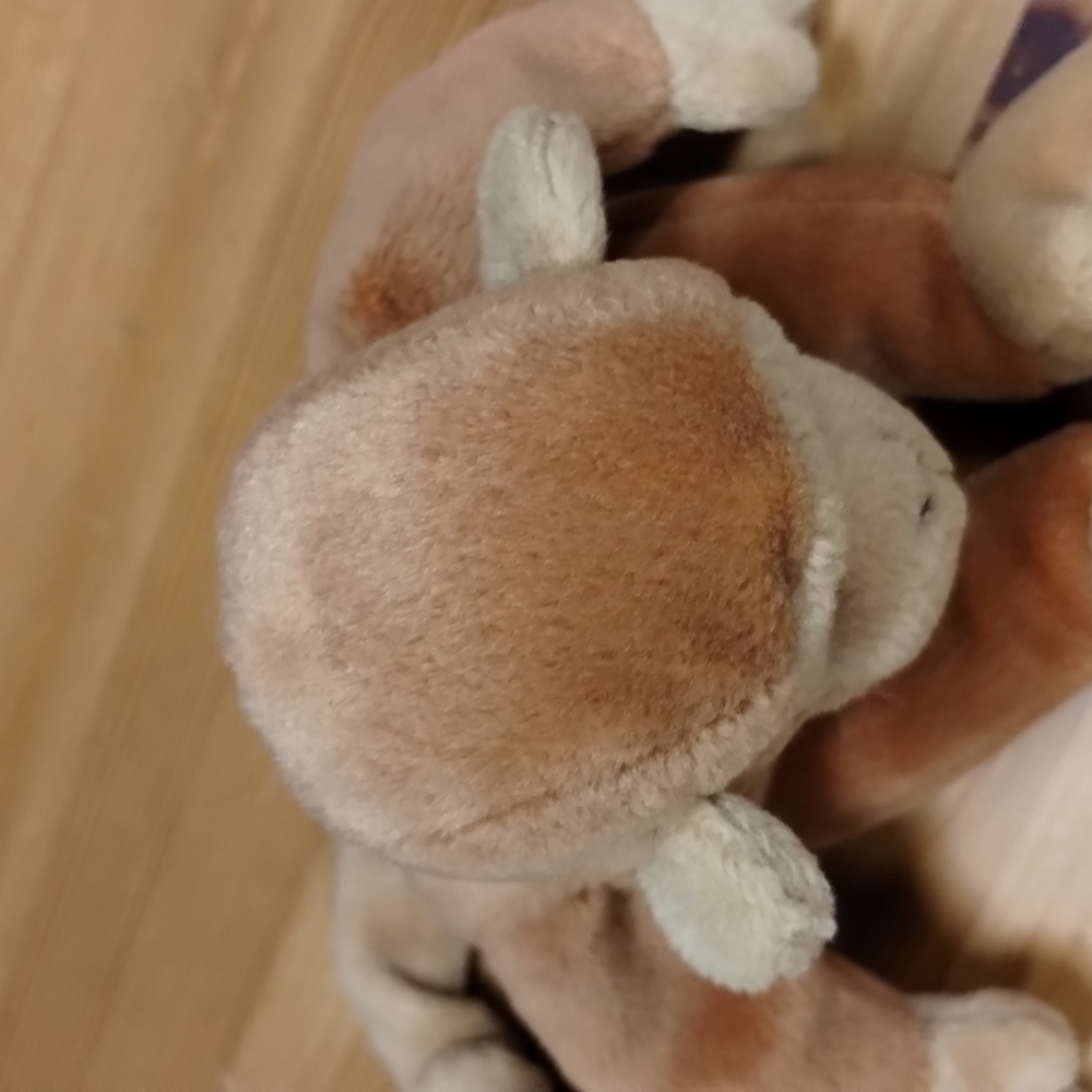 -Ty Beanie Babies Bongo The Monkey Tan Tail - 10" - Picture 4 of 17